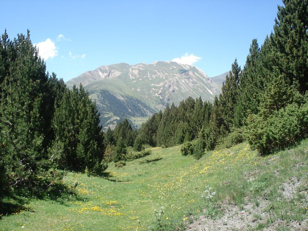 Xalet Riba - Hut 8077 Villa Arinsal Eksteriør billede
